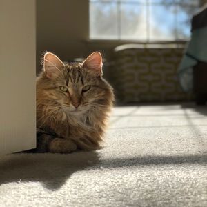 Meet your Posher, Cara